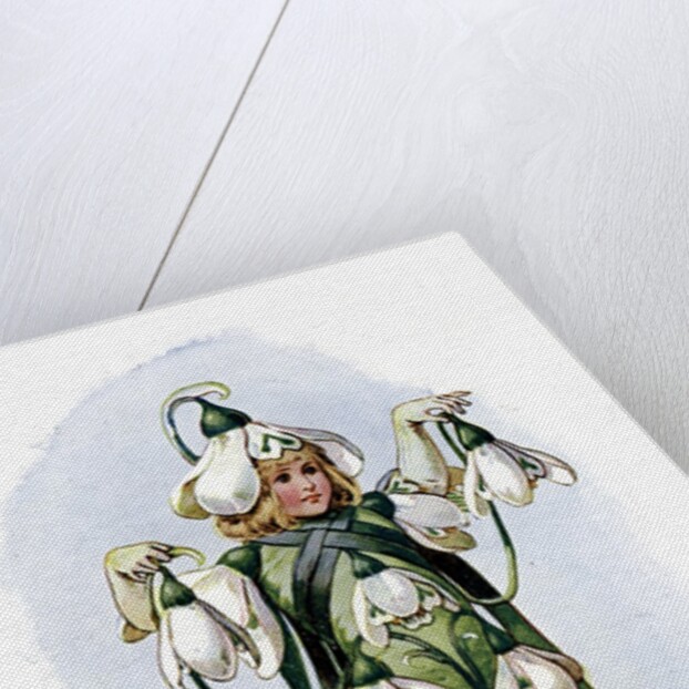 The Snowdrop by Anonymous