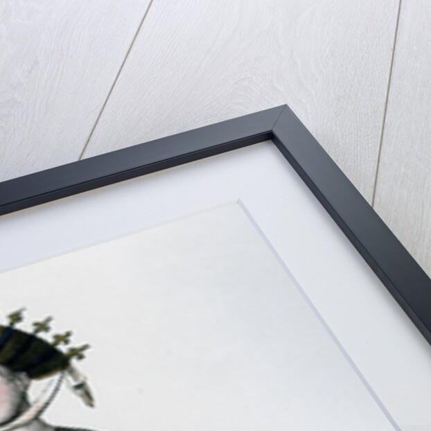 Margaret of Provence, queen consort of Louis IX of France by Anonymous