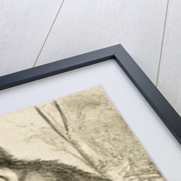 Caricature of Charles Darwin by Anonymous