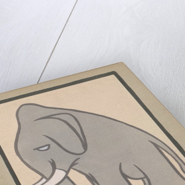 Elephant by Anonymous