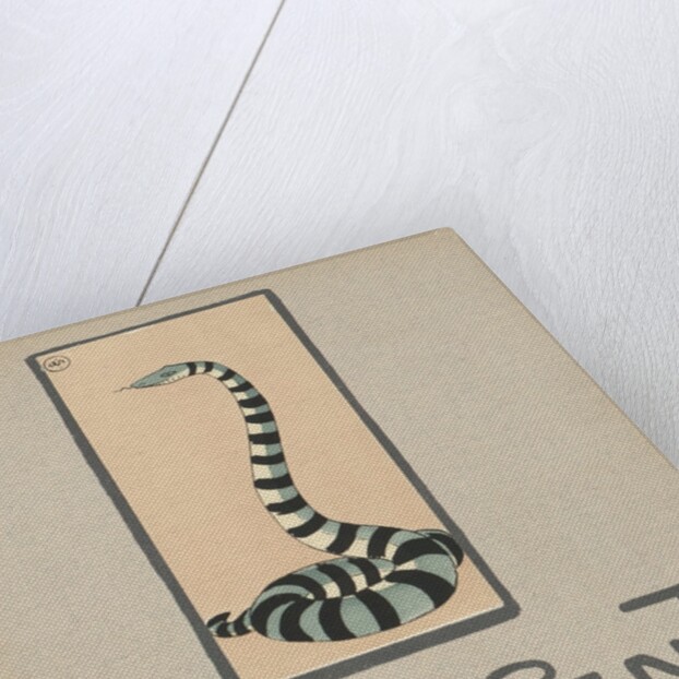 Striped snake by Anonymous