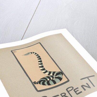 Striped snake by Anonymous
