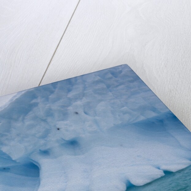 Icebergs Antarctica pennisula by Anonymous