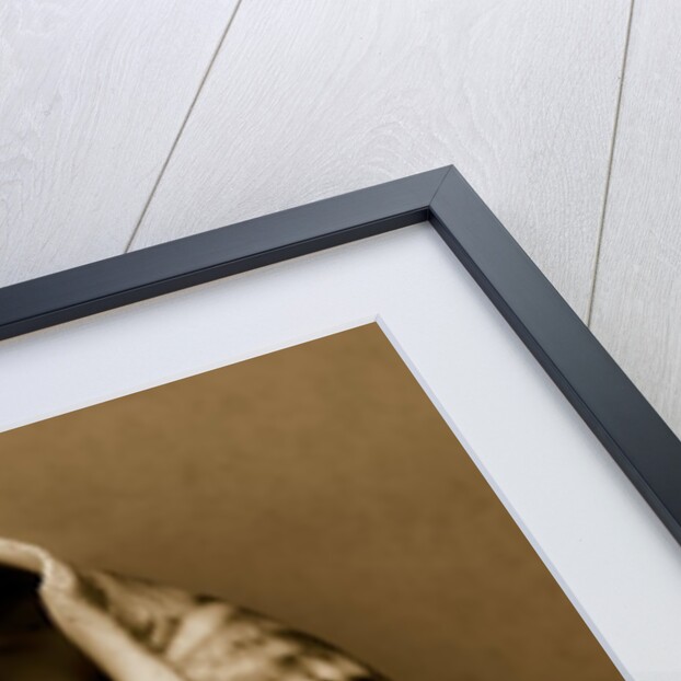 Babylon Shell by Anonymous