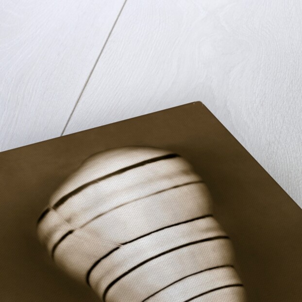 Candy Cane Shell by Anonymous