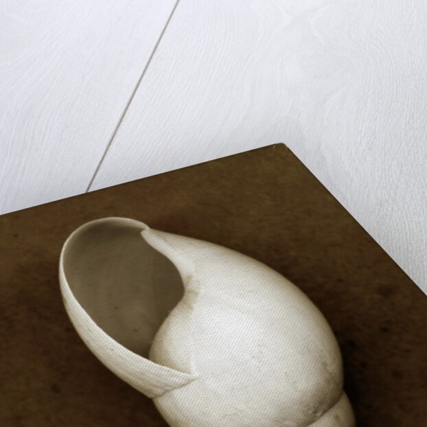 White Cornball Shell by Anonymous