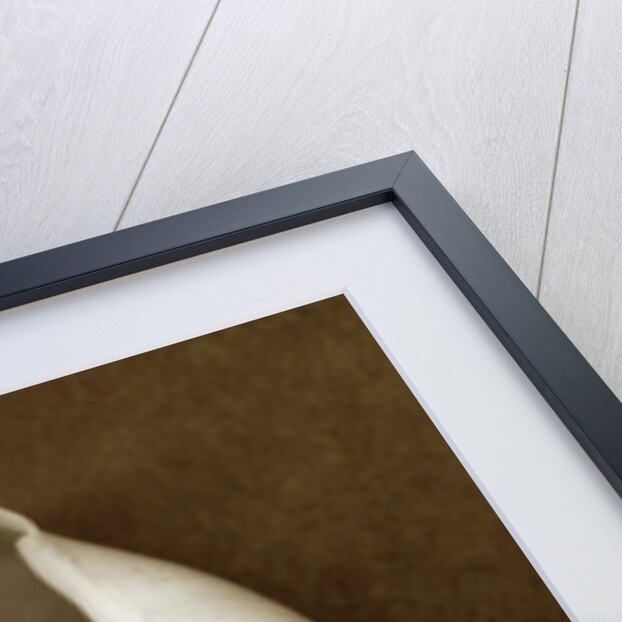 White Cornball Shell by Anonymous