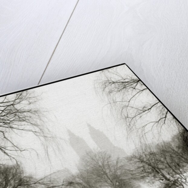 Central Park Snow by Anonymous