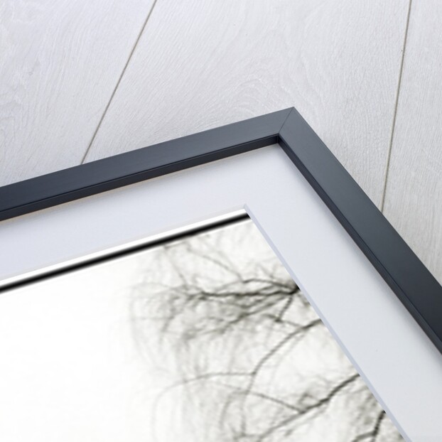 Central Park Snow by Anonymous