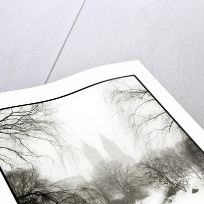 Central Park Snow by Anonymous