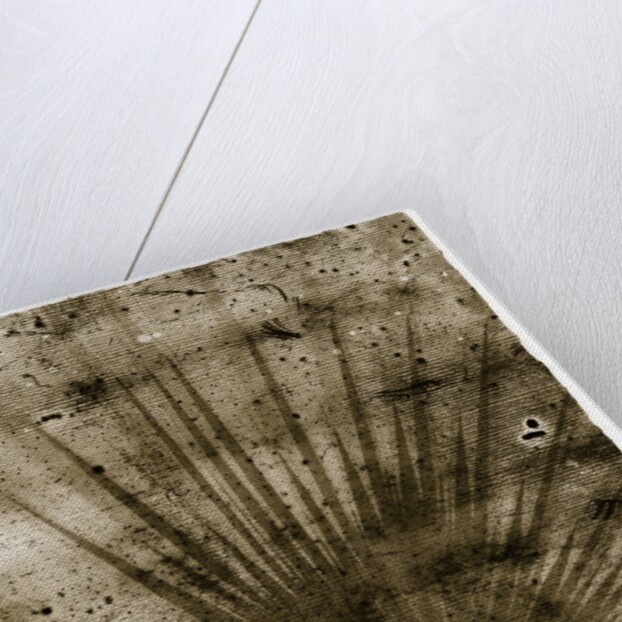 Palmetto Palm by Anonymous