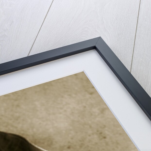 Elephant Ear by Anonymous