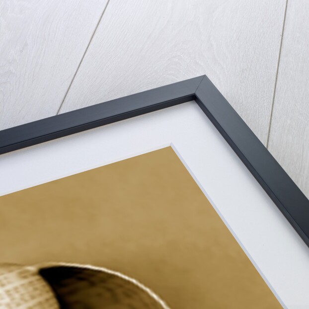 Graceful Fig Shell by Anonymous