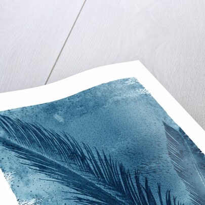 Sago Palm by Anonymous