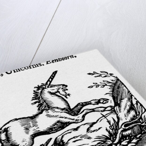 Unicorn by Anonymous