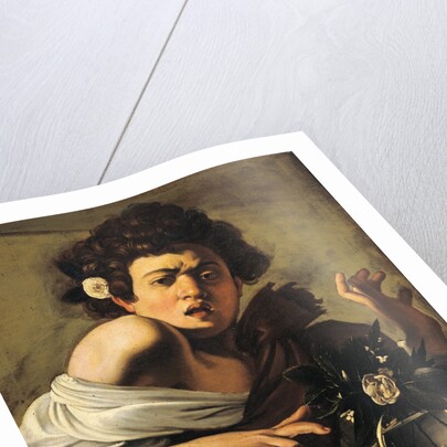 Boy Bitten by a Lizard by Caravaggio