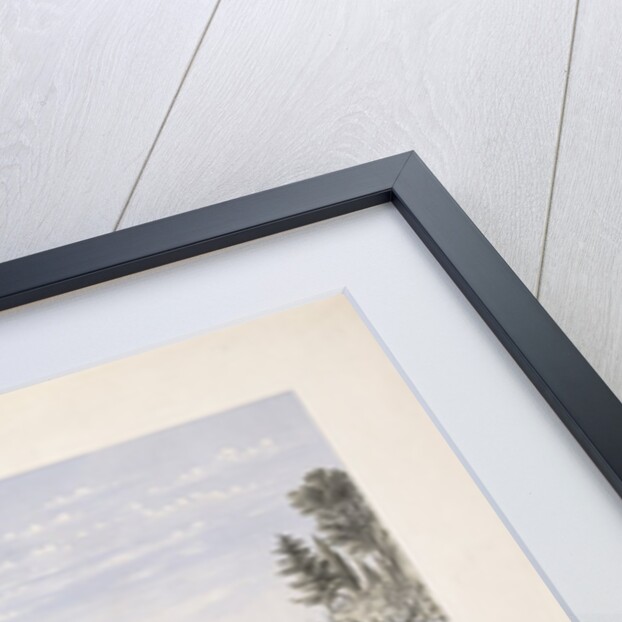 The New York Yacht Club Regatta by Anonymous