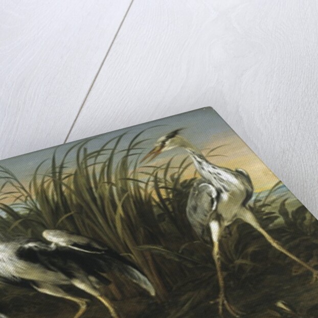 Fable of the Fox and the Heron by Frans Snyders