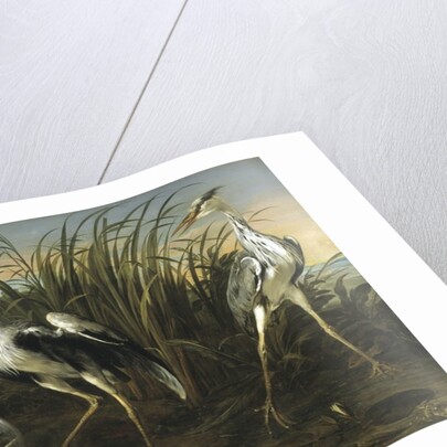 Fable of the Fox and the Heron by Frans Snyders