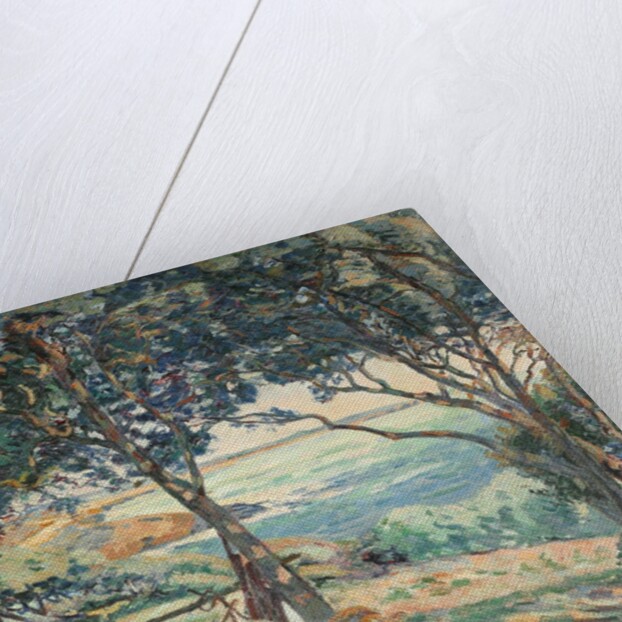 Paysage d'Agay by Armand Guillaumin