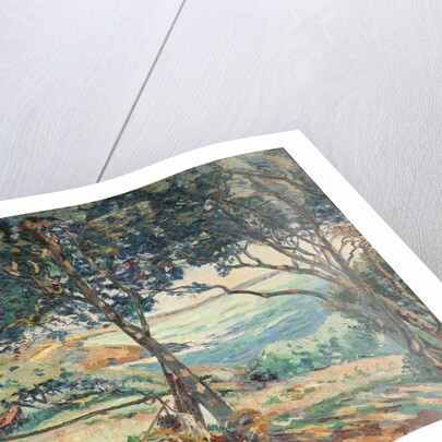 Paysage d'Agay by Armand Guillaumin