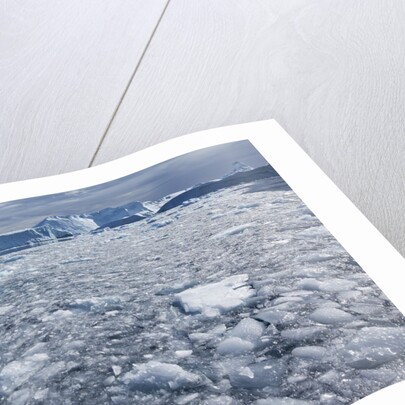 Jakobshavn Glacier on Disko Bay in Greenland by Anonymous