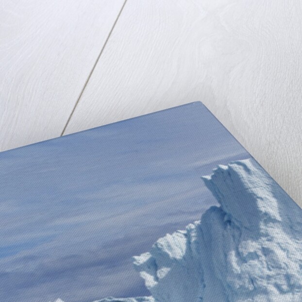 Humpback Whale in Disko Bay in Greenland by Anonymous