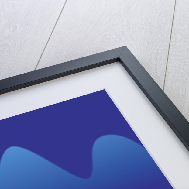 Boy Riding Elephant by Anonymous