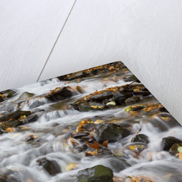 Water running over rocks in Wahkeena Creek by Anonymous