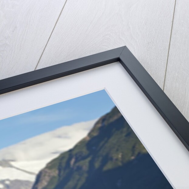 Brown Bear, Katmai National Park, Alaska by Anonymous