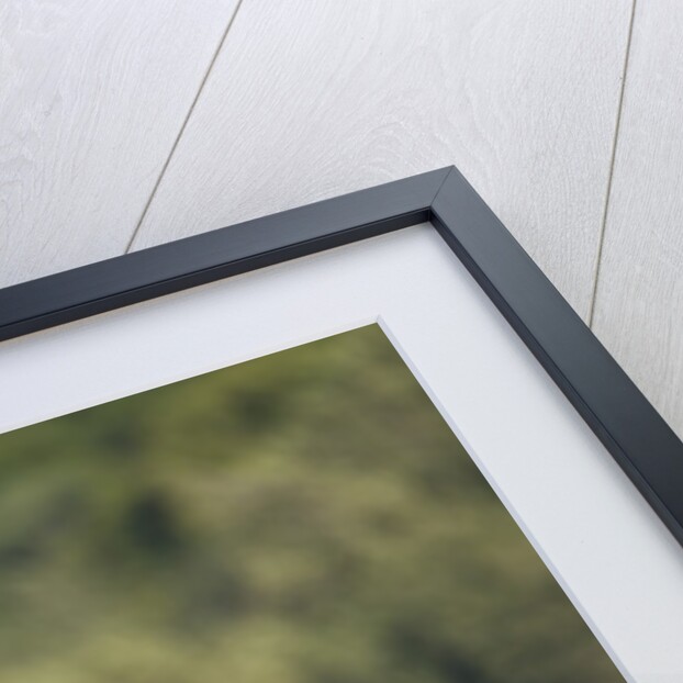 Grizzly Bear, Katmai National Park, Alaska by Anonymous