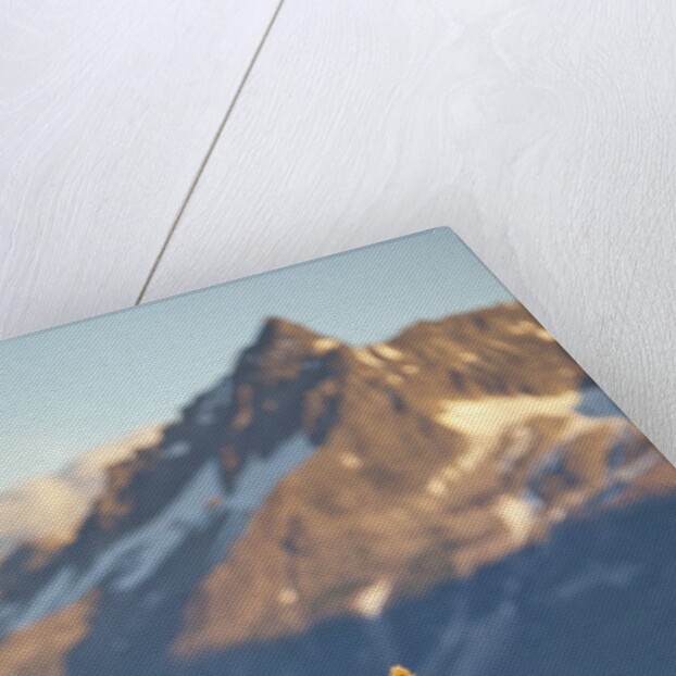 Brown Bear at Dawn, Katmai National Park, Alaska by Anonymous
