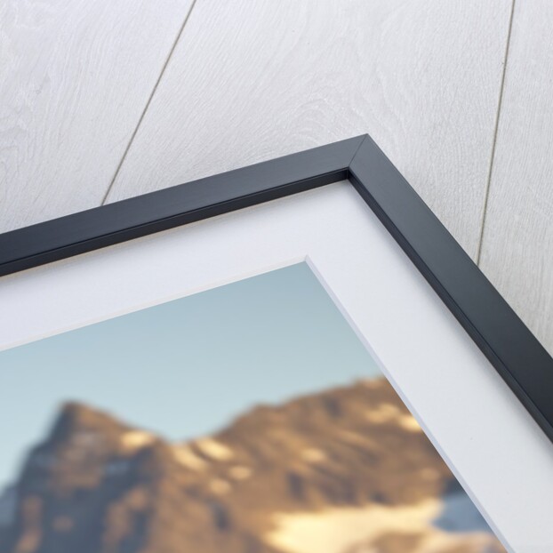 Brown Bear at Dawn, Katmai National Park, Alaska by Anonymous