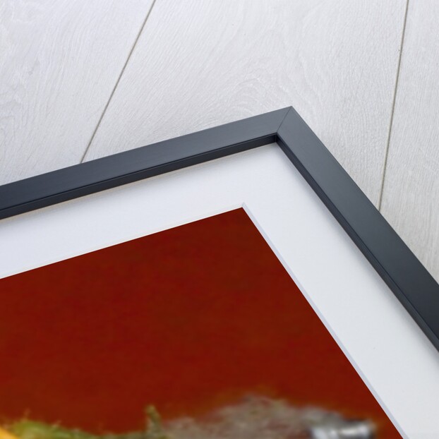 Squash Explosion by Anonymous