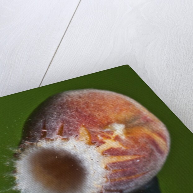 Just Peachy by Anonymous