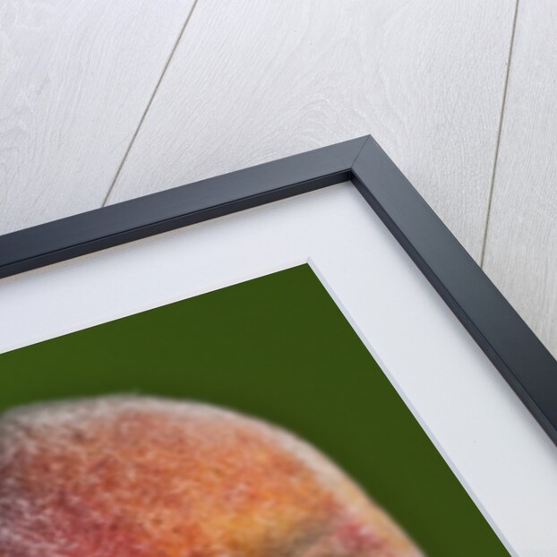 Just Peachy by Anonymous