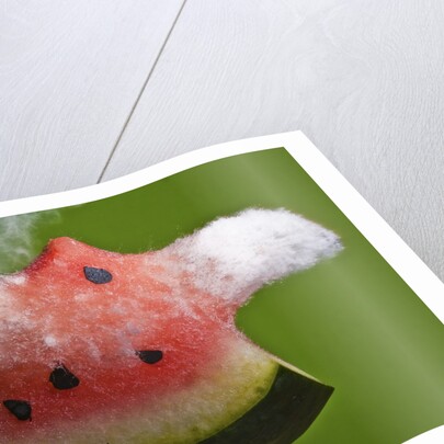 Watermelon Explosion by Anonymous