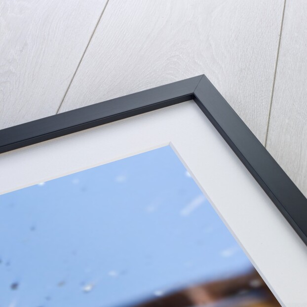 Liquid Lead by Anonymous