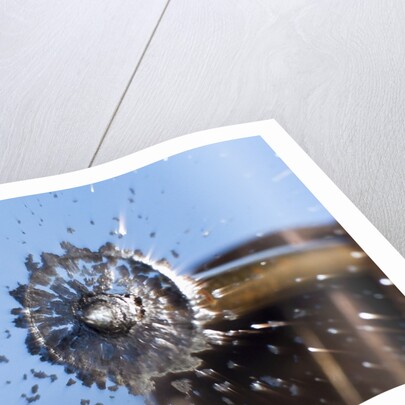 Liquid Lead by Anonymous