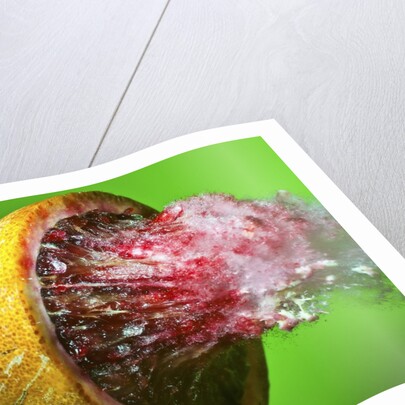 Bloody Mayhem by Anonymous