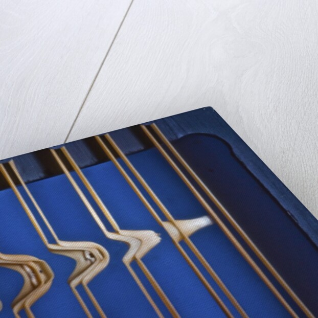 Rubber Band Boing by Anonymous