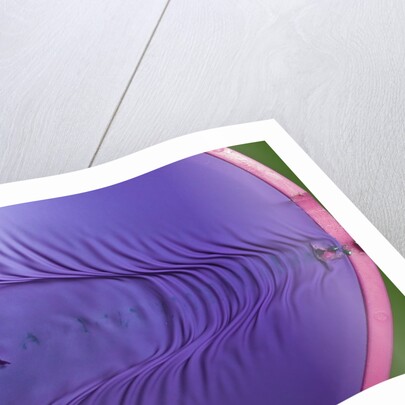 Rubber Wave by Anonymous