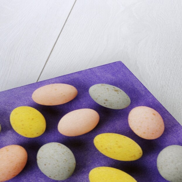 Small coloured Easter eggs on purple background by Anonymous