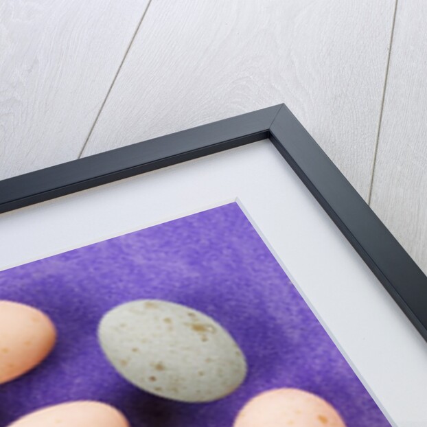 Small coloured Easter eggs on purple background by Anonymous