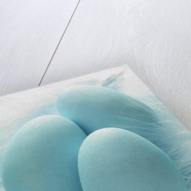 Three blue Easter eggs on feathers by Anonymous