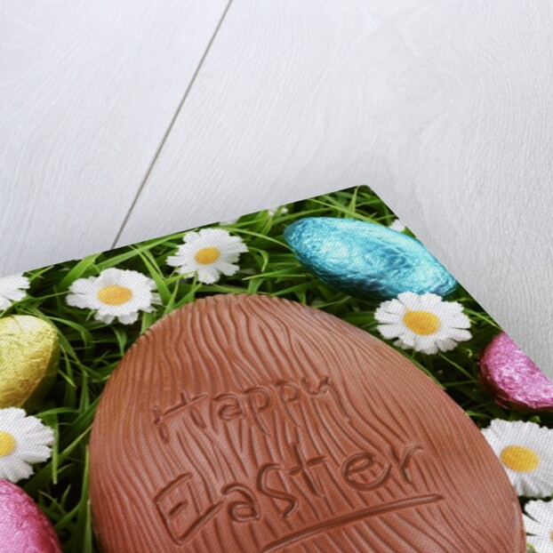 Chocolate Easter eggs in grass by Anonymous