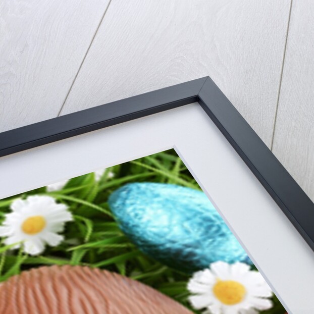 Chocolate Easter eggs in grass by Anonymous