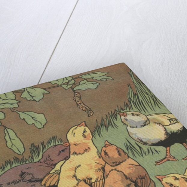 Illustration of chicks looking at caterpillar by Anonymous
