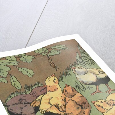 Illustration of chicks looking at caterpillar by Anonymous