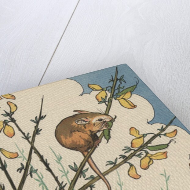 Illustration of mouse and bird feeding on branches by Anonymous